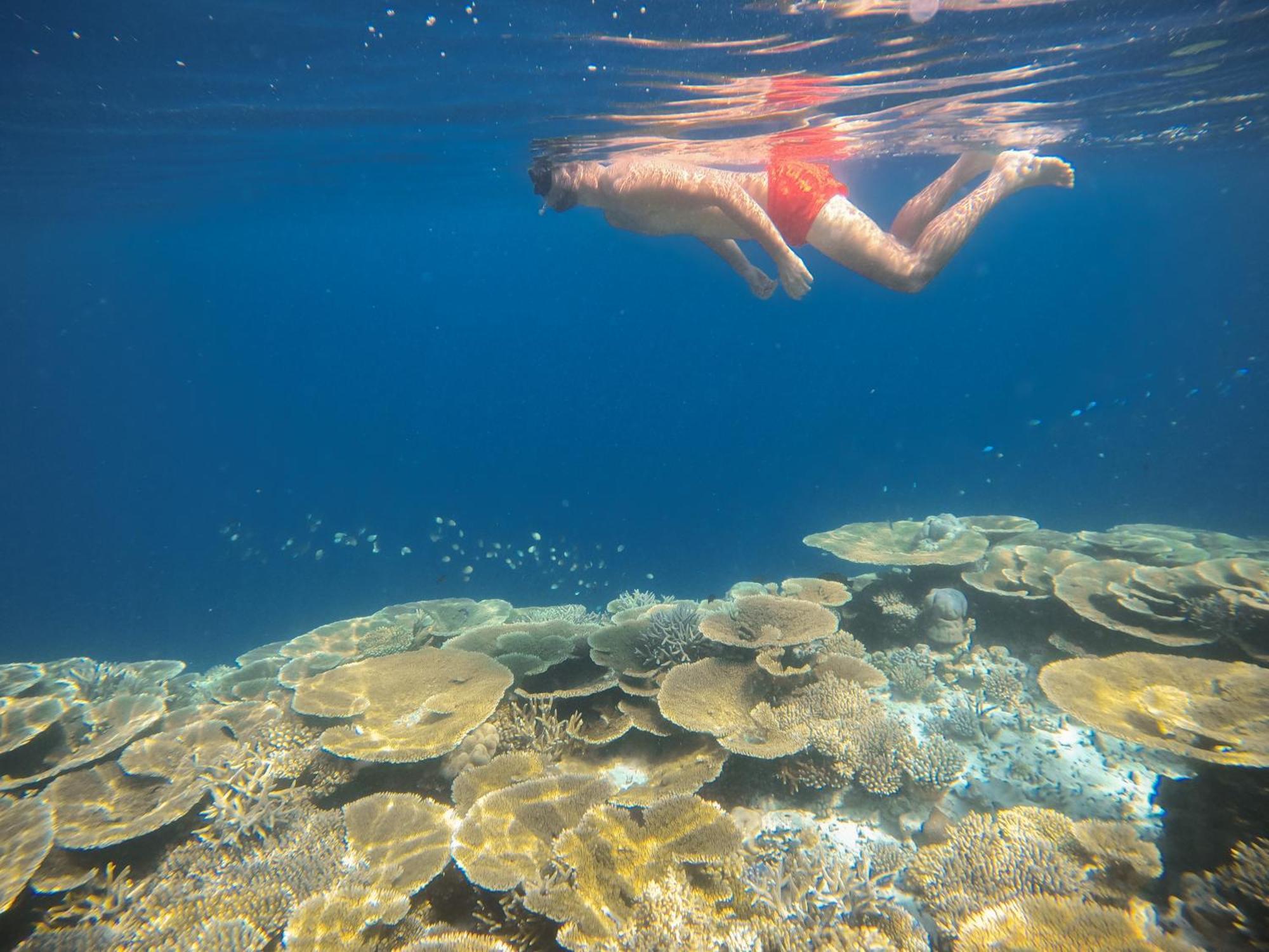 Ostrov Beach Ukulhas Εξωτερικό φωτογραφία